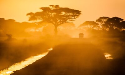 Discover the Magic of East Africa