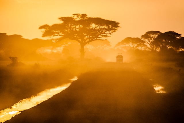 Discover the Magic of East Africa