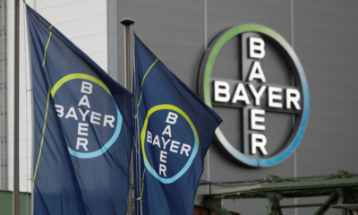 Bayer Shares Surge