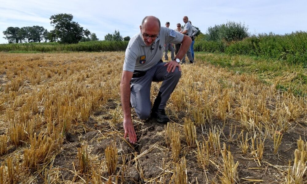 An ongoing heatwave in Romania has led to severe drought conditions in several regions, causing lakes to dry up and resulting in significant crop damage.