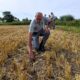 An ongoing heatwave in Romania has led to severe drought conditions in several regions, causing lakes to dry up and resulting in significant crop damage.