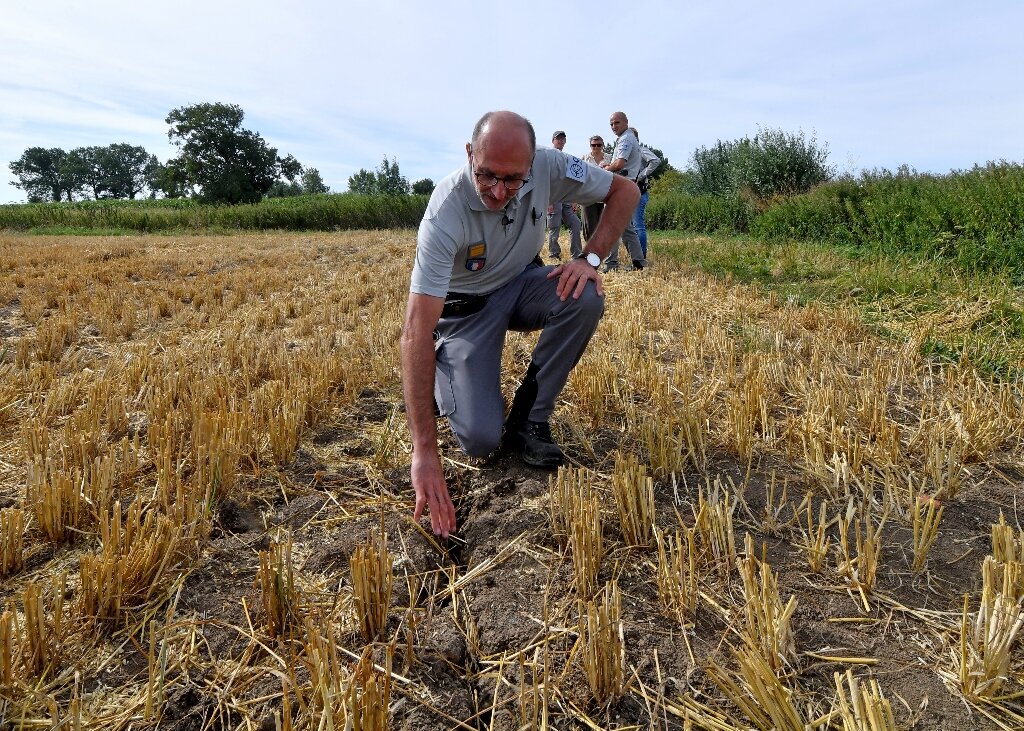 An ongoing heatwave in Romania has led to severe drought conditions in several regions, causing lakes to dry up and resulting in significant crop damage.