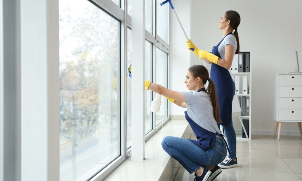 Window Cleaning Services