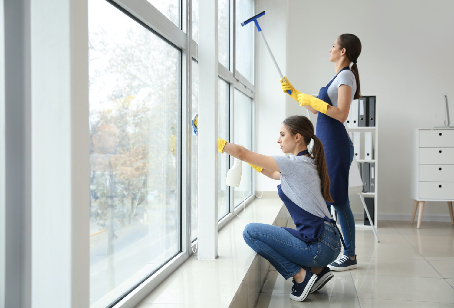 Window Cleaning Services